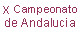 Cadete Masculino X Campeonato de Andaluca